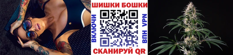купить наркоту  Пудож  Марихуана сатива 